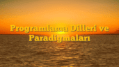 Programlama Dilleri ve Paradigmaları