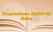 Programlama Nedir? Bir Bakış