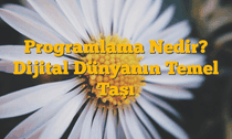 Programlama Nedir? Dijital Dünyanın Temel Taşı