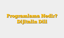 Programlama Nedir? Dijitalin Dili