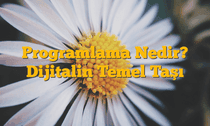 Programlama Nedir? Dijitalin Temel Taşı