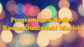 Programlama Nedir? Kodun Ötesindeki Mantık