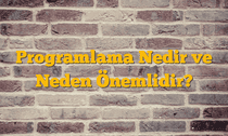 Programlama Nedir ve Neden Önemlidir?