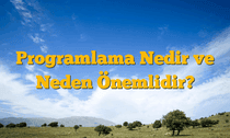 Programlama Nedir ve Neden Önemlidir?