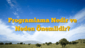 Programlama Nedir ve Neden Önemlidir?