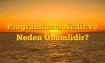 Programlama Nedir ve Neden Önemlidir?