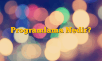 Programlama Nedir?