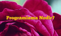 Programlama Nedir?