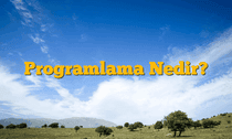 Programlama Nedir?