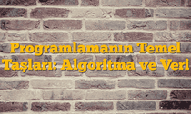 Programlamanın Temel Taşları: Algoritma ve Veri