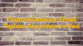 Programlamanın Temel Taşları: Algoritma ve Veri