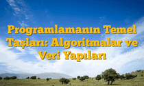 Programlamanın Temel Taşları: Algoritmalar ve Veri Yapıları