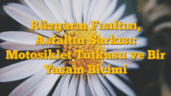 Rüzgarın Fısıltısı, Asfaltın Şarkısı: Motosiklet Tutkusu ve Bir Yaşam Biçimi