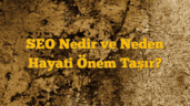 SEO Nedir ve Neden Hayati Önem Taşır?