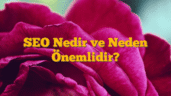 SEO Nedir ve Neden Önemlidir?