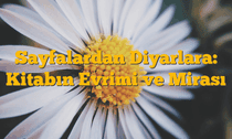 Sayfalardan Diyarlara: Kitabın Evrimi ve Mirası