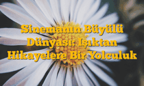 Sinemanın Büyülü Dünyası: Işıktan Hikayelere Bir Yolculuk