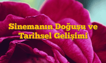 Sinemanın Doğuşu ve Tarihsel Gelişimi