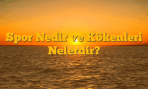 Spor Nedir ve Kökenleri Nelerdir?