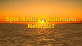 Spor Nedir ve Kökenleri Nelerdir?