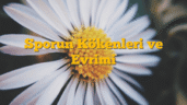 Sporun Kökenleri ve Evrimi