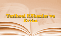 Tarihsel Kökenler ve Evrim