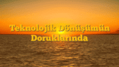 Teknolojik Dönüşümün Doruklarında