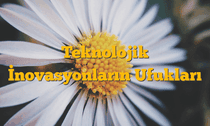 Teknolojik İnovasyonların Ufukları