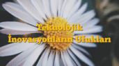 Teknolojik İnovasyonların Ufukları