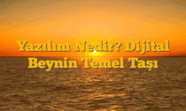 Yazılım Nedir? Dijital Beynin Temel Taşı