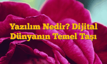 Yazılım Nedir? Dijital Dünyanın Temel Taşı
