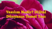 Yazılım Nedir? Dijital Dünyanın Temel Taşı