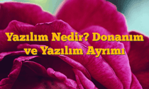 Yazılım Nedir? Donanım ve Yazılım Ayrımı