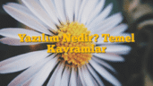 Yazılım Nedir? Temel Kavramlar