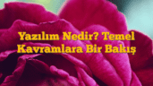 Yazılım Nedir? Temel Kavramlara Bir Bakış