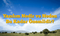 Yazılım Nedir ve Neden Bu Kadar Önemlidir?