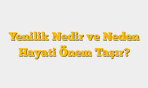 Yenilik Nedir ve Neden Hayati Önem Taşır?
