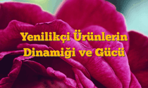 Yenilikçi Ürünlerin Dinamiği ve Gücü