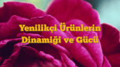 Yenilikçi Ürünlerin Dinamiği ve Gücü