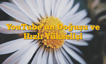 YouTube’un Doğuşu ve Hızlı Yükselişi
