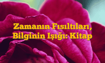 Zamanın Fısıltıları, Bilginin Işığı: Kitap