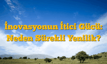 İnovasyonun İtici Gücü: Neden Sürekli Yenilik?