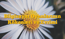 Bilgisayar Oyunlarının Kökenleri ve Evrimi
