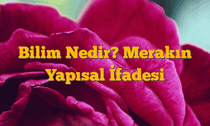 Bilim Nedir? Merakın Yapısal İfadesi