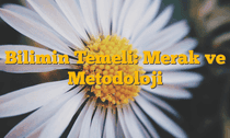Bilimin Temeli: Merak ve Metodoloji