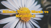 Bilimin Temeli: Merak ve Metodoloji