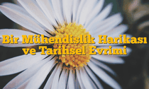 Bir Mühendislik Harikası ve Tarihsel Evrimi