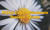 Dijital Çağda Gündemin Yeniden Tanımı
