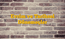 Evrim ve Tarihsel Dönemeçler