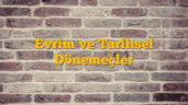 Evrim ve Tarihsel Dönemeçler